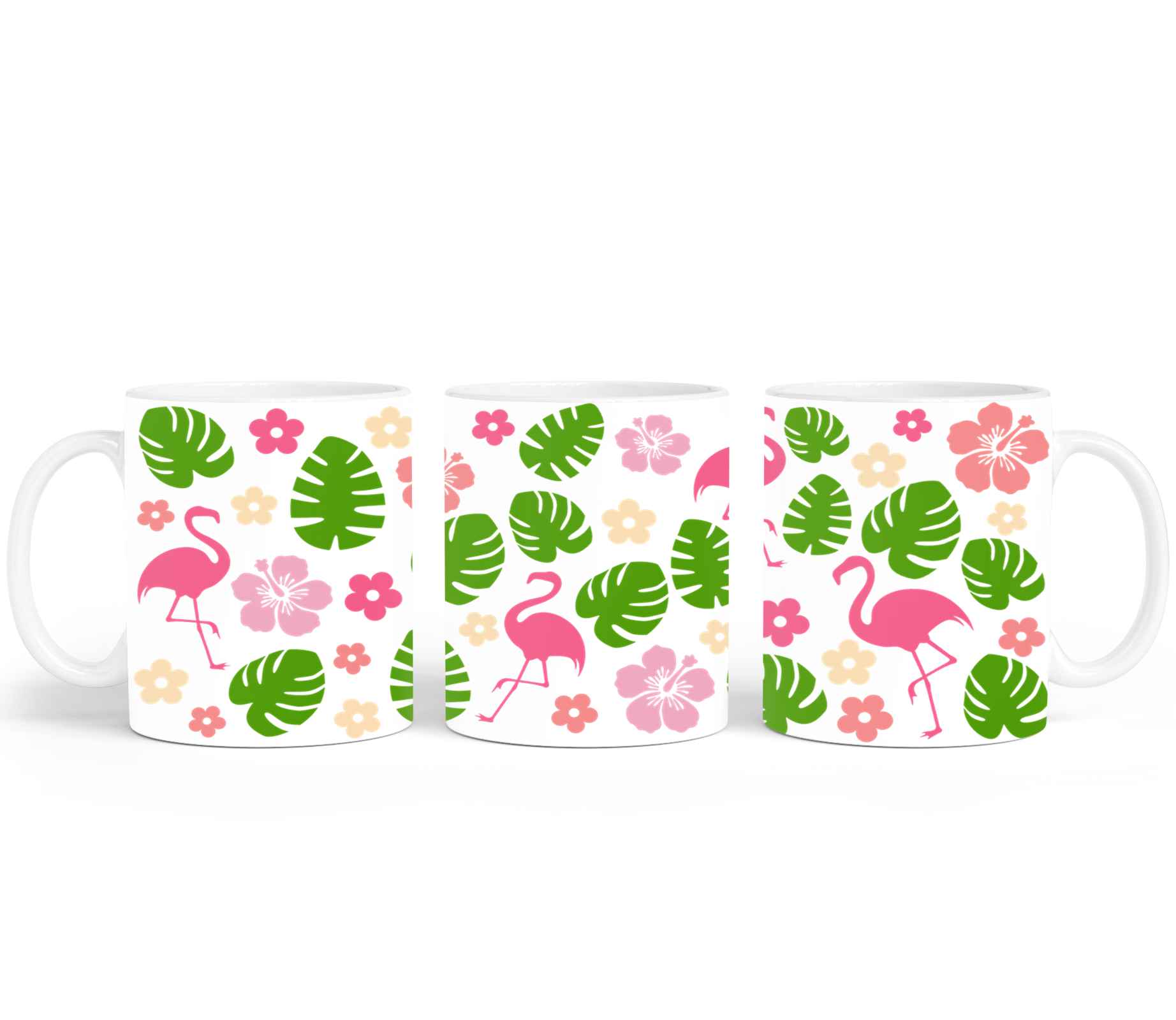 Flamingos-10680